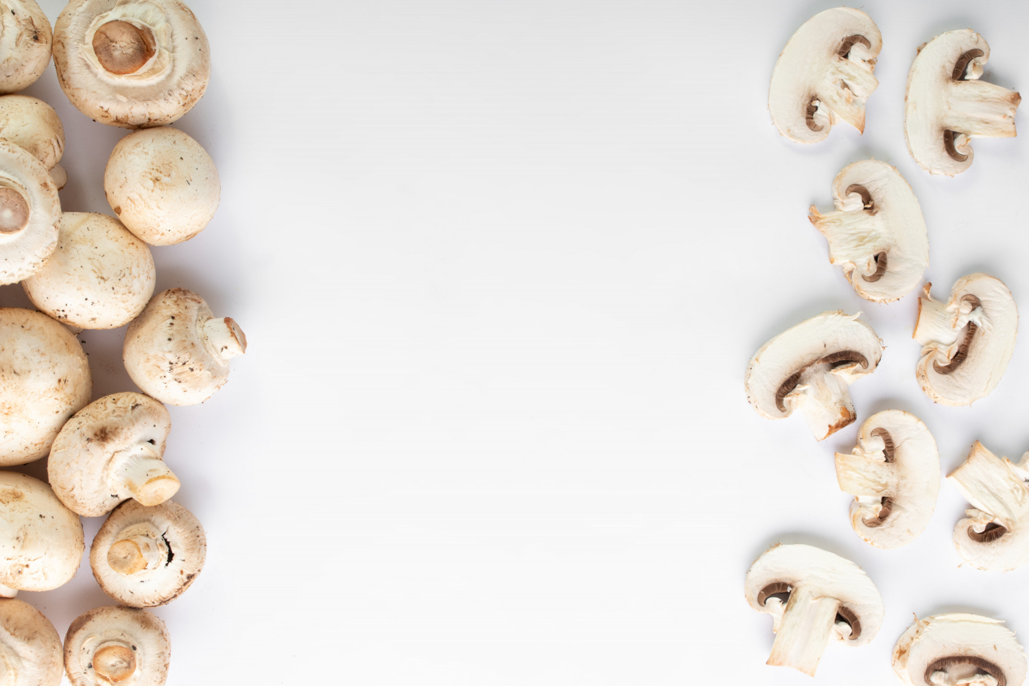 Why high-quality mushroom farm equipment is the key to efficiency and yield?