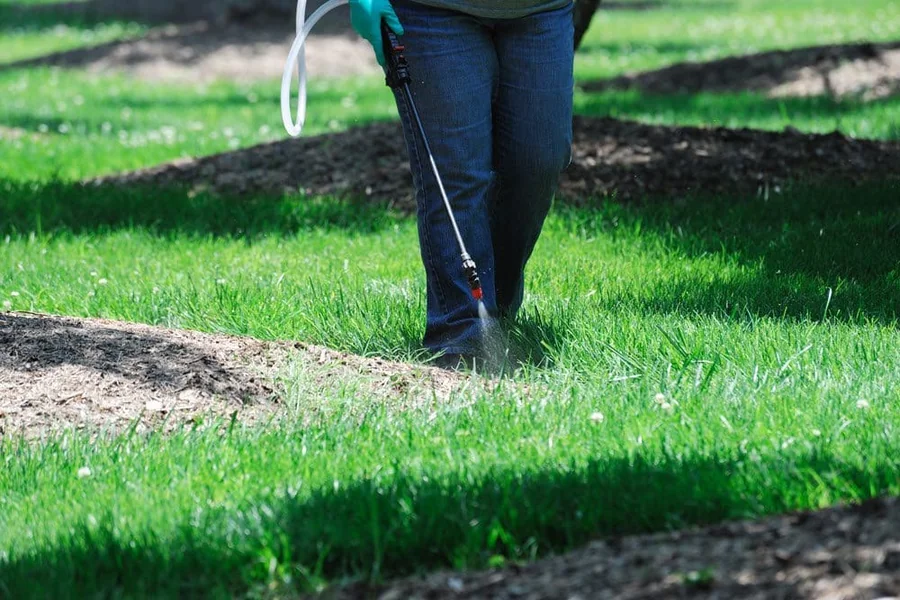 When Should You Apply Lawn Pest Control Treatments