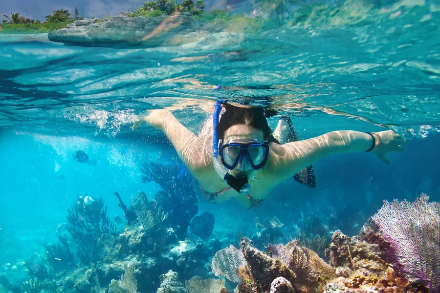 Snorkel Spot